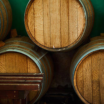 Öffnet die Seite 'Die Saga der Familie Bienen'